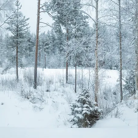 Santa's Royal Villa Rovaniemi